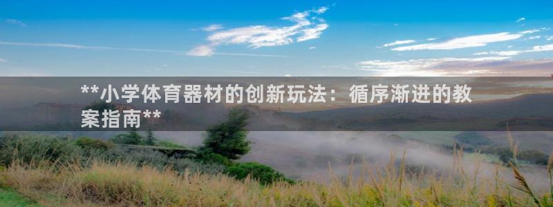 尊龙凯时人生就是博·(中国)：**小学体育器材的创新