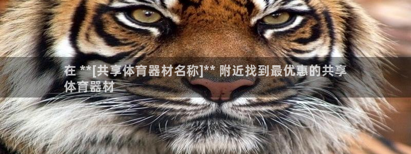 凯时a88：在 **[共享体育器材名称]** 附近找