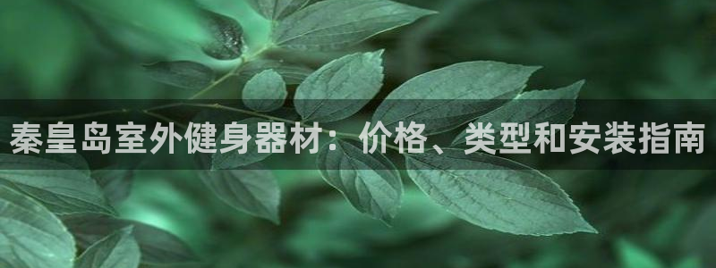 ag尊龙凯时集团：秦皇岛室外健身器材：价格、类型和安