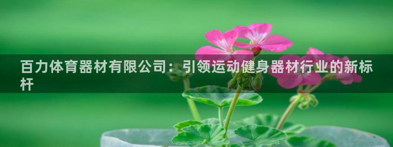 尊龙凯时网站登录：百力体育器材有限公司：引领运动健身