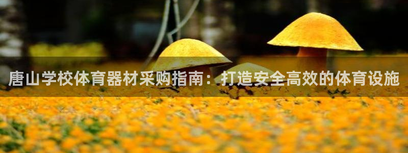 凯时国际网站域名：唐山学校体育器材采购指南：打造安全