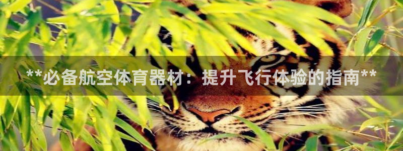 凯时平台官网RA来就送38：**必备航空体育器材：提