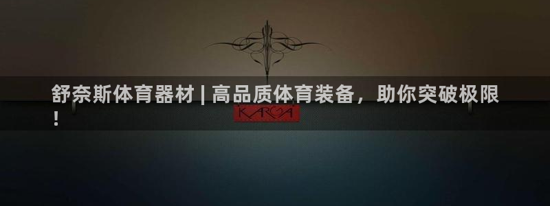 尊龙人生就是博一下下：舒奈斯体育器材 | 高品质体育