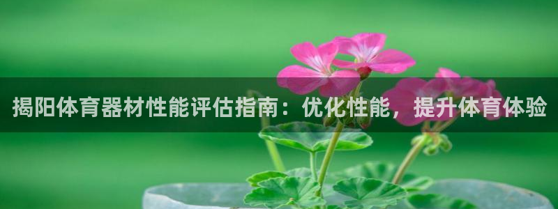 尊龙ag旗舰官网：揭阳体育器材性能评估指南：优化性能