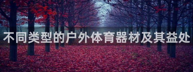 尊龙app认可ag发财网：不同类型的户外体育器材及其