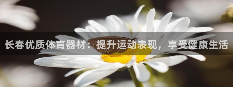 凯时k66娱乐登录：长春优质体育器材：提升运动表现，