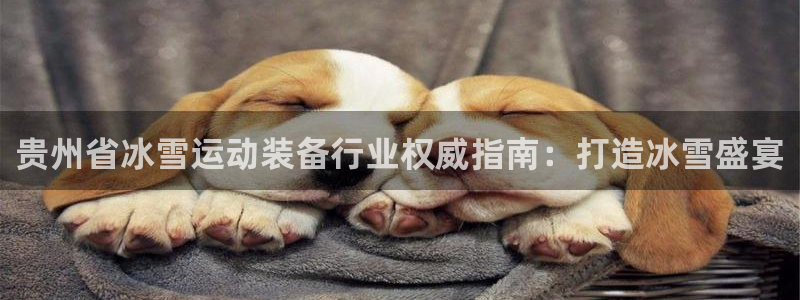 尊龙凯时登入首页：贵州省冰雪运动装备行业权威指南：打
