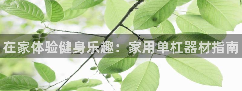 尊龙人生就要博旧版：在家体验健身乐趣：家用单杠器材指