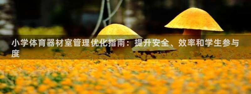 尊龙官网首页：小学体育器材室管理优化指南：提升安全、