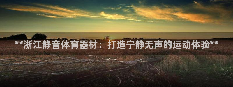 怎样能成为尊龙凯时平台的会员：**浙江静音体育器材：