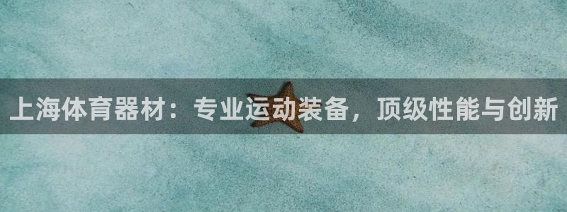 尊龙实业 吴友良：上海体育器材：专业运动装备，顶级性