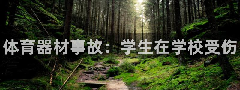 凯时kb88会员登录：体育器材事故：学生在学校受伤
