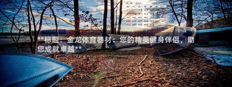 尊龙百度百科：**标题：金龙体育器材：您的精英健身伴