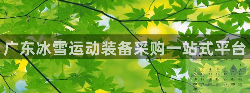 尊龙凯时提款冻卡吗：广东冰雪运动装备采购一站式平台