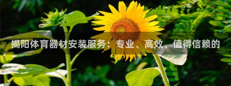 尊龙凯时-人生就是博中国官网首页：揭阳体育器材安装服