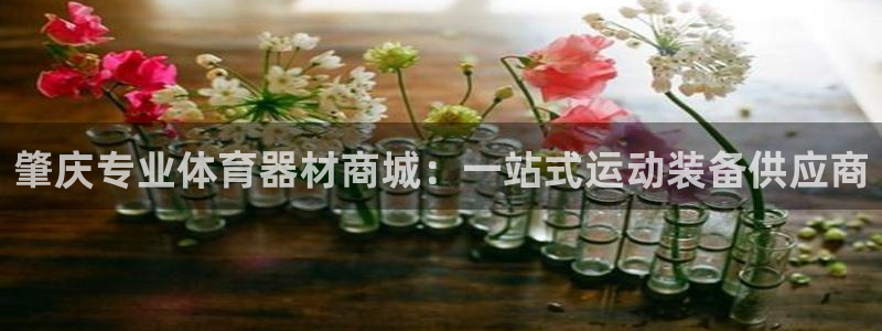 d88尊龙手机登录下载：肇庆专业体育器材商城：一站式