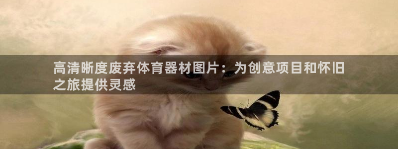 凯时K66最新版本下载：高清晰度废弃体育器材图片：为