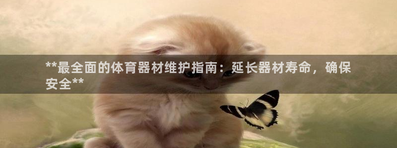 凯时app赢AG发财网来就送38：**最全面的体育器