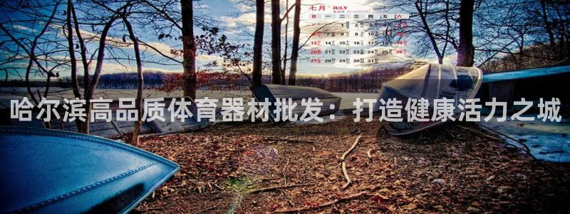 凯时赢来就送38：哈尔滨高品质体育器材批发：打造健康
