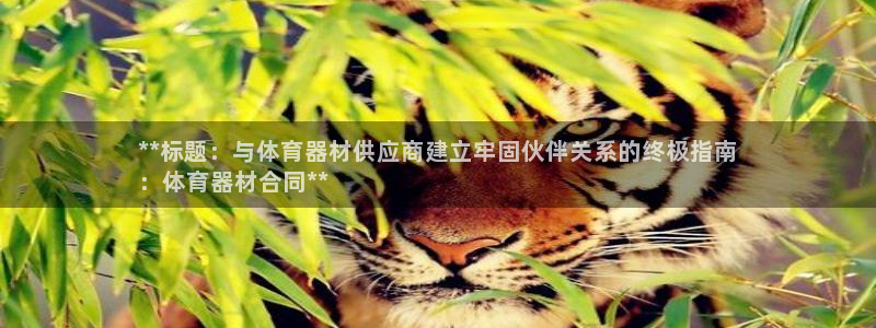 尊龙z6：**标题：与体育器材供应商建立牢固伙伴关系