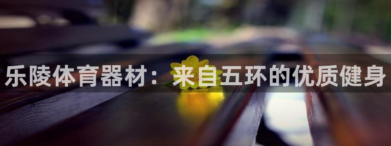 尊龙凯时平台正规吗：乐陵体育器材：来自五环的优质健身