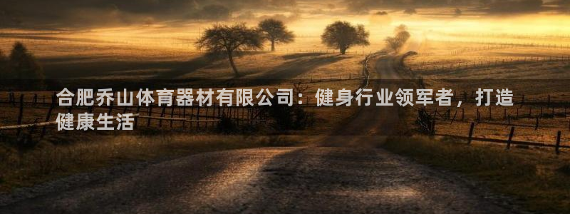 尊龙官网首页：合肥乔山体育器材有限公司：健身行业领军