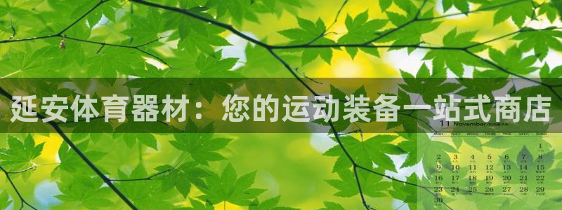 尊龙凯时麻将胡了：延安体育器材：您的运动装备一站式商