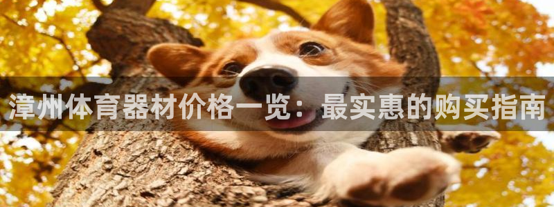 尊龙现金d88：漳州体育器材价格一览：最实惠的购买指