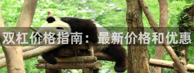 尊龙t400和尊龙t300区别：双杠价格指南：最新价