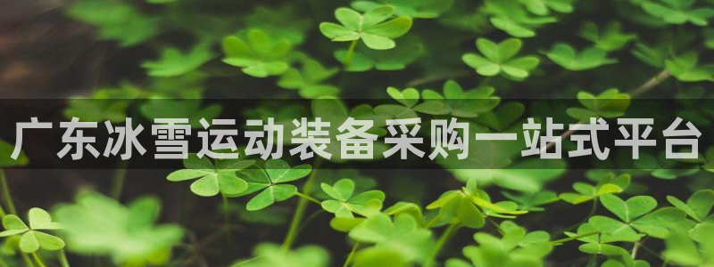 尊龙 贴吧：广东冰雪运动装备采购一站式平台