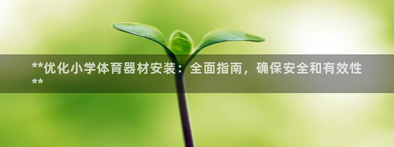 尊龙官网下载：**优化小学体育器材安装：全面指南，确
