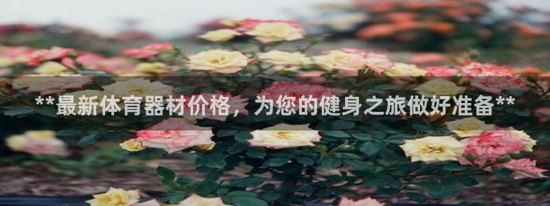 尊龙新版官网网页版：**最新体育器材价格，为您的健身