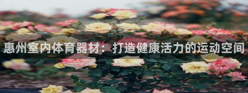 尊龙凯时人生就是搏官：惠州室内体育器材：打造健康活力