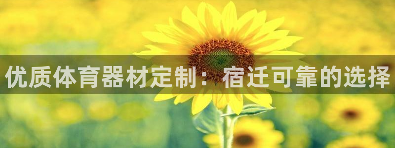 尊龙人生就是博下载：优质体育器材定制：宿迁可靠的选择