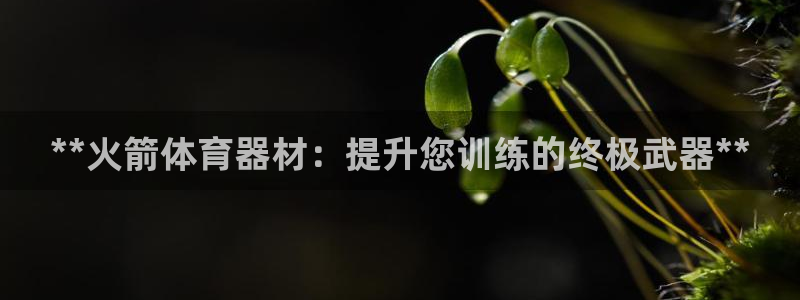 尊龙集团有限公司是国企吗：**火箭体育器材：提升您训