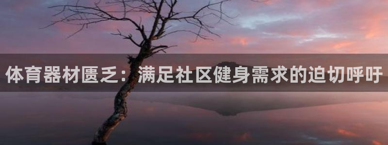 凯时K66最新版本下载：体育器材匮乏：满足社区健身需