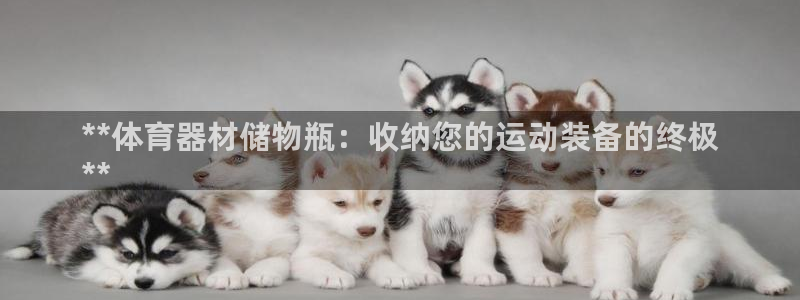 尊龙网页：**体育器材储物瓶：收纳您的运动装备的终极