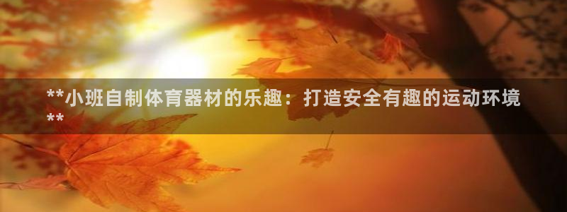凯时kb88kb88：**小班自制体育器材的乐趣：打