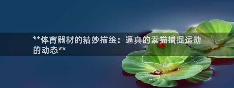 AG尊龙凯时注册：**体育器材的精妙描绘：逼真的素描