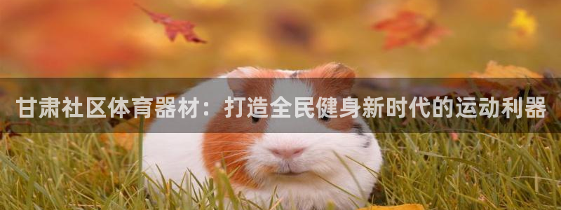 尊龙人生就是博旧版现：甘肃社区体育器材：打造全民健身