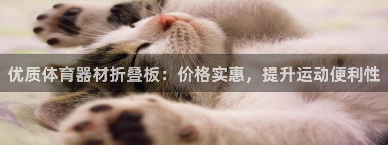 尊龙现在：优质体育器材折叠板：价格实惠，提升运动便利