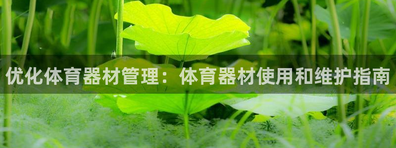尊龙t600怎么样：优化体育器材管理：体育器材使用和