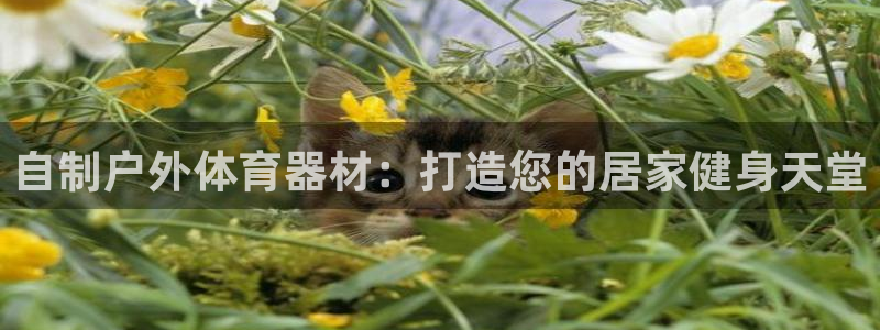 尊龙凯时只输不赢：自制户外体育器材：打造您的居家健身
