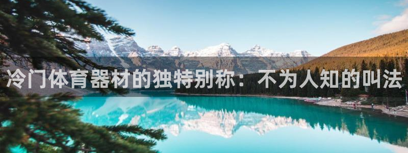尊龙凯时app官网：冷门体育器材的独特别称：不为人知