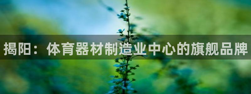 尊龙凯时用户名m：揭阳：体育器材制造业中心的旗舰品牌