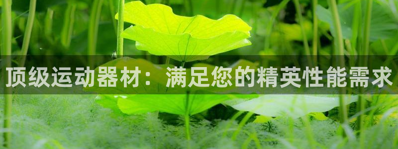 凯时app官方首页：顶级运动器材：满足您的精英性能需