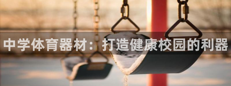 凯时K66最新版本下载：中学体育器材：打造健康校园的