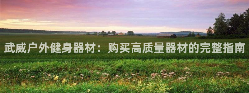 尊龙凯时老板：武威户外健身器材：购买高质量器材的完整