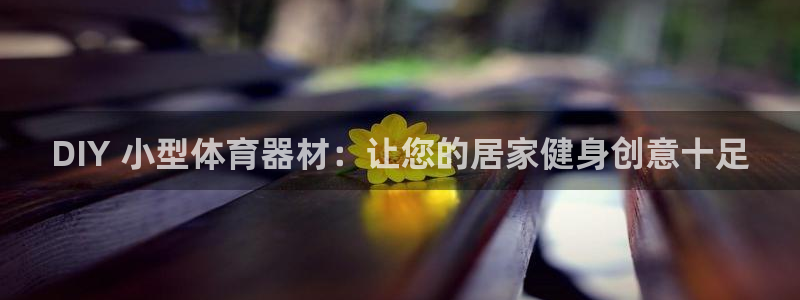 尊龙多少岁：DIY 小型体育器材：让您的居家健身创意