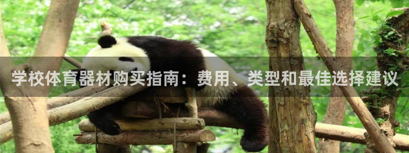 尊龙人生就是博一下阿扎尔：学校体育器材购买指南：费用